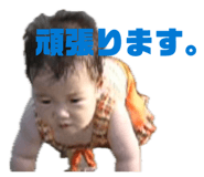 845070532