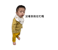 845073394