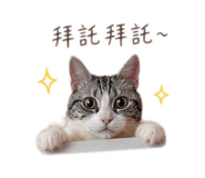 845074367