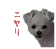 845074416