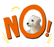 845074894