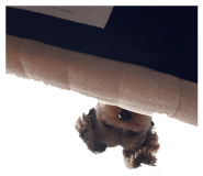 845075476