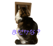 845076137