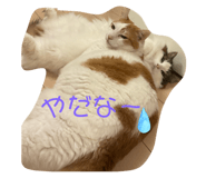 845076138