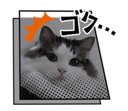 845076143