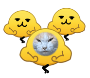 845076202