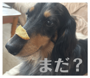 845076510