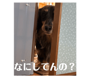 845076511