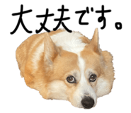 845076779