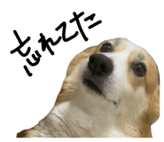 845076786