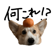845076788
