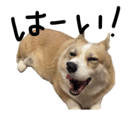 845076793