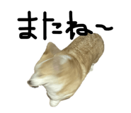 845076796