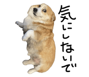 845076798