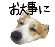 845076799