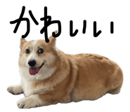 845076803