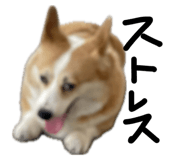 845076804