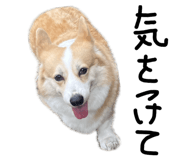 845076809