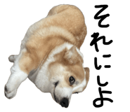 845076811