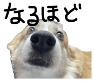 845076812