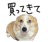 845076814