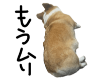 845076815