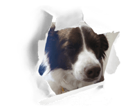 845077326