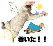 845077386