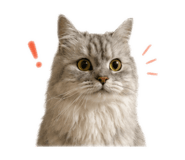 845077576