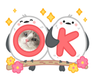 845077587