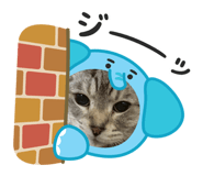 845077726