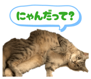 845077730