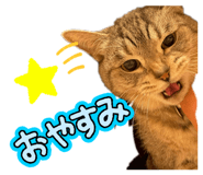 845077744