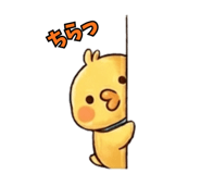 845078076