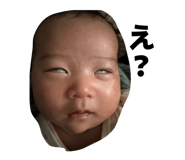 845078108