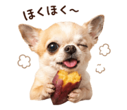 845078612