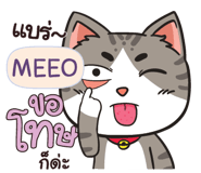 845080038