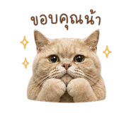 845086014