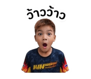 845086110
