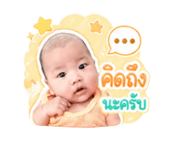 845086644