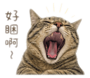 845087145