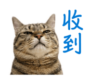 845087160
