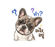 845087800