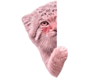 845088305