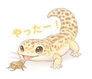 845088333