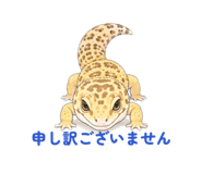 845088338