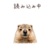 845088661