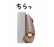 845088786
