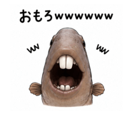 845088790