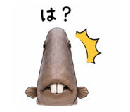 845088792